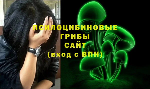 скорость Вяземский