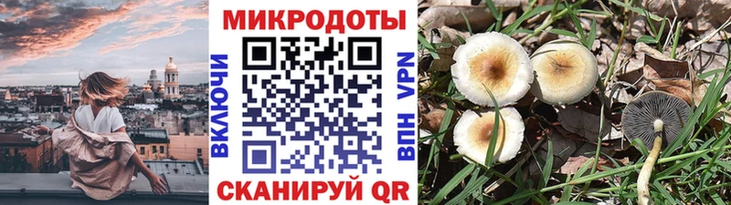 Галлюциногенные грибы мухоморы  Купить где  Шагонар 